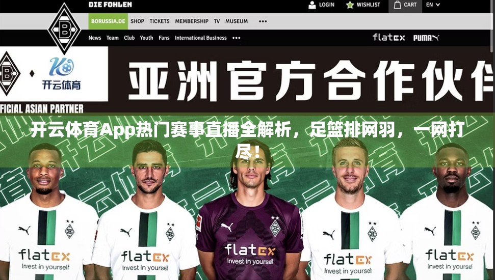 开云体育App热门赛事直播全解析，足篮排网羽，一网打尽！