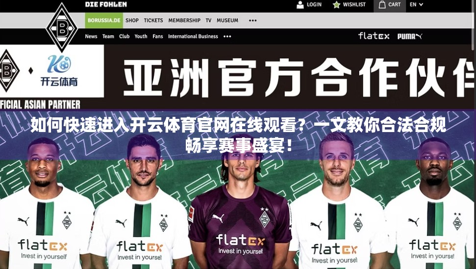 如何快速进入开云体育官网在线观看？一文教你合法合规畅享赛事盛宴！