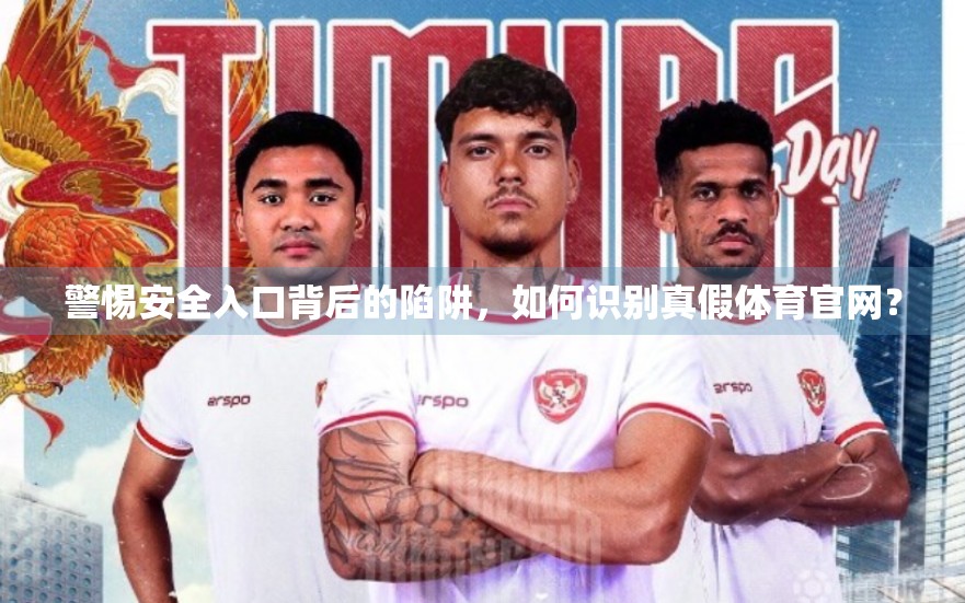 警惕安全入口背后的陷阱，如何识别真假体育官网？