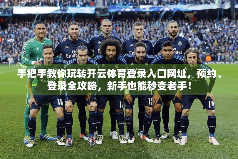 手把手教你玩转开云体育登录入口网址，预约、登录全攻略，新手也能秒变老手！