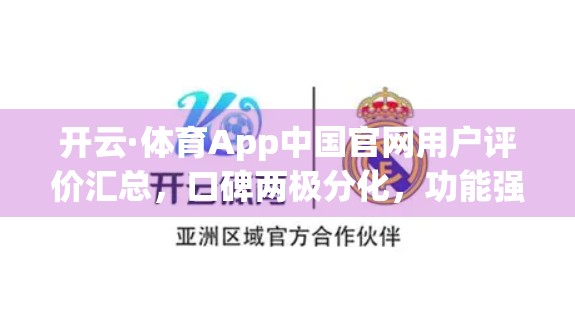 开云·体育App中国官网用户评价汇总，口碑两极分化，功能强大却争议不断