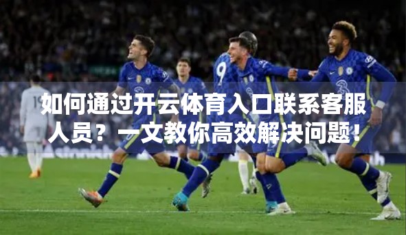 如何通过开云体育入口联系客服人员？一文教你高效解决问题！