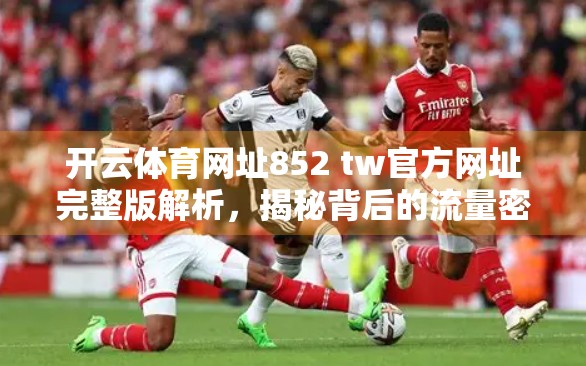 开云体育网址852 tw官方网址完整版解析，揭秘背后的流量密码与风险警示