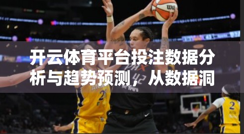开云体育平台投注数据分析与趋势预测，从数据洞察到智能决策的跃迁之路