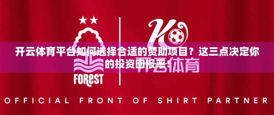 开云体育平台如何选择合适的赞助项目？这三点决定你的投资回报率！