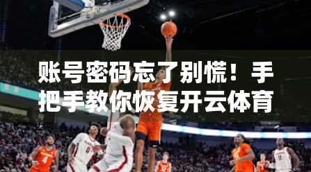 账号密码忘了别慌！手把手教你恢复开云体育登录界面账号，轻松找回你的运动世界入口