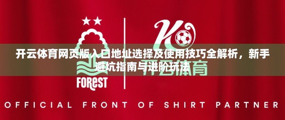 开云体育网页版入口地址选择及使用技巧全解析，新手避坑指南与进阶玩法