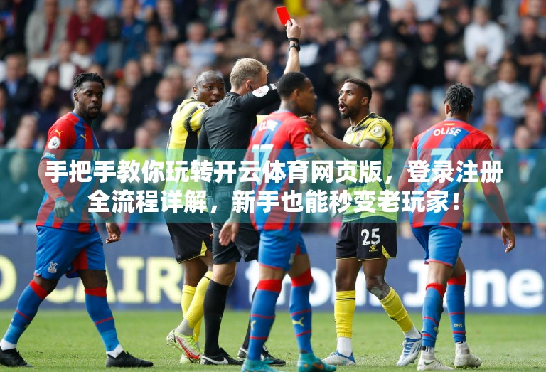 手把手教你玩转开云体育网页版，登录注册全流程详解，新手也能秒变老玩家！