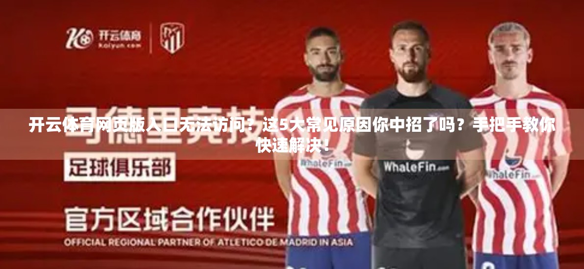 开云体育网页版入口无法访问？这5大常见原因你中招了吗？手把手教你快速解决！