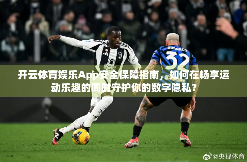 开云体育娱乐App安全保障指南，如何在畅享运动乐趣的同时守护你的数字隐私？