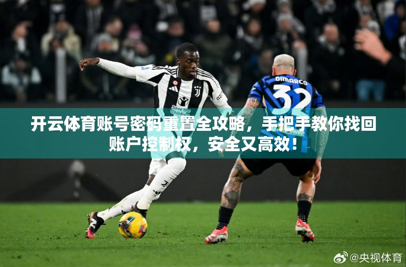 开云体育账号密码重置全攻略，手把手教你找回账户控制权，安全又高效！