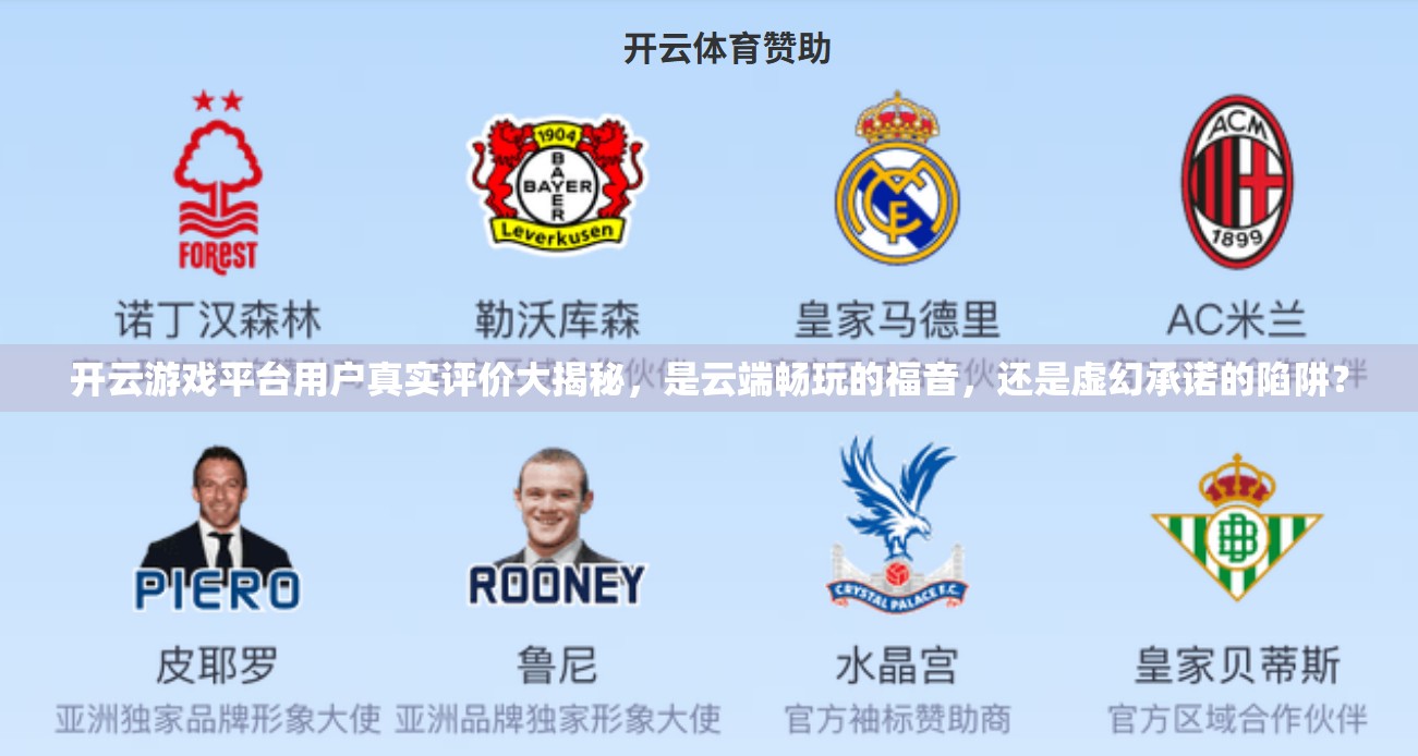 开云游戏平台用户真实评价大揭秘，是云端畅玩的福音，还是虚幻承诺的陷阱？
