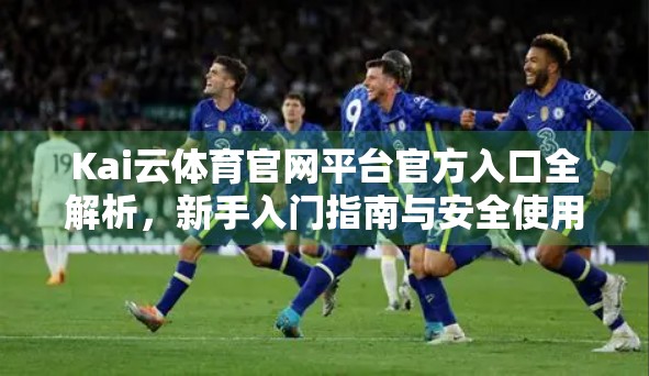 Kai云体育官网平台官方入口全解析，新手入门指南与安全使用建议