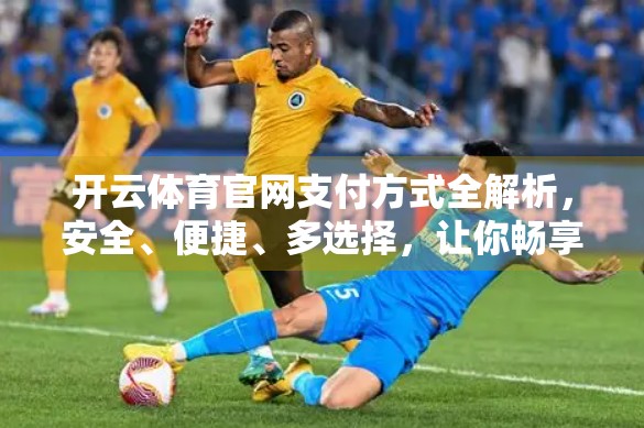 开云体育官网支付方式全解析，安全、便捷、多选择，让你畅享赛事直播无阻！