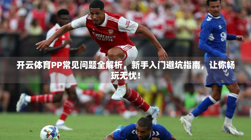 开云体育PP常见问题全解析，新手入门避坑指南，让你畅玩无忧！