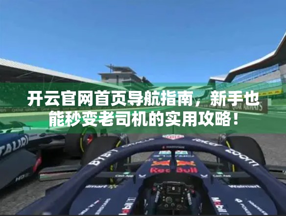 开云官网首页导航指南，新手也能秒变老司机的实用攻略！