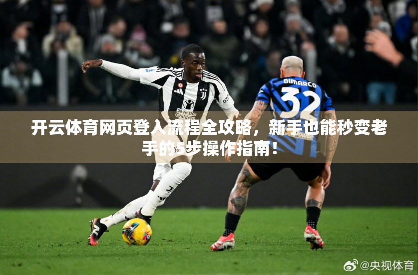 开云体育网页登入流程全攻略，新手也能秒变老手的5步操作指南！