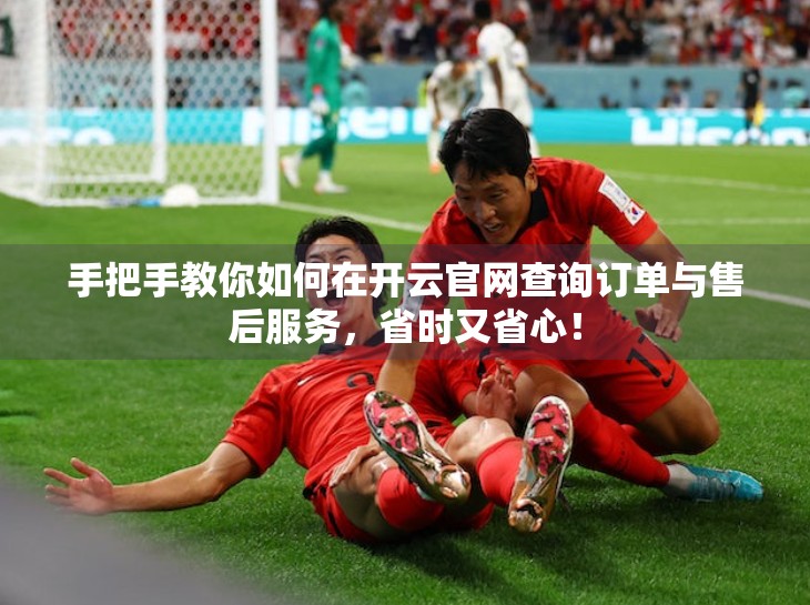手把手教你如何在开云官网查询订单与售后服务，省时又省心！