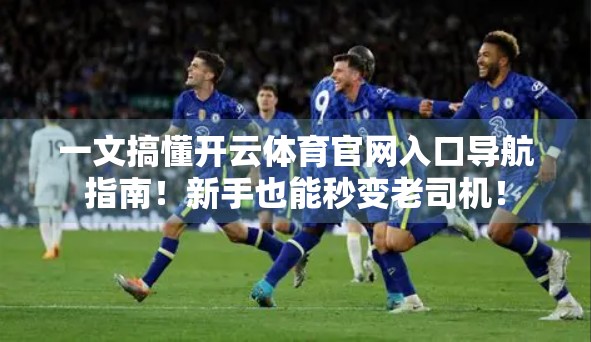 一文搞懂开云体育官网入口导航指南！新手也能秒变老司机！
